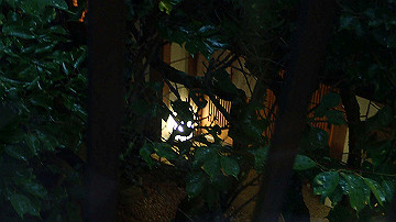 p9041633_thumb.jpg