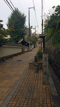 img_8589_thumb.jpg