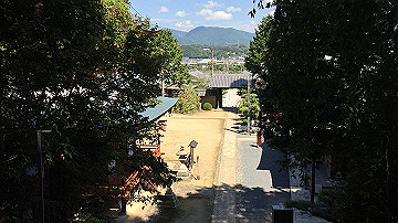 img_8606_thumb.jpg