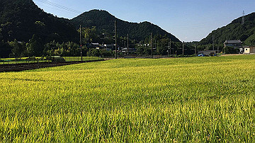 img_8613_thumb.jpg