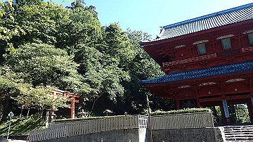 p9251685_thumb.jpg