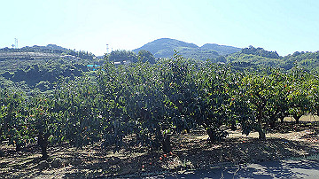p9251724_thumb.jpg
