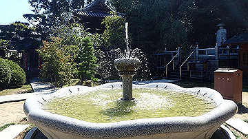 p9251742_thumb.jpg