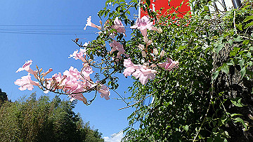 p9251751_thumb.jpg