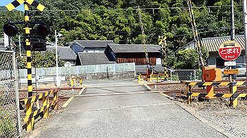 p9251787_thumb.jpg