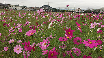 img_8748_thumb.jpg