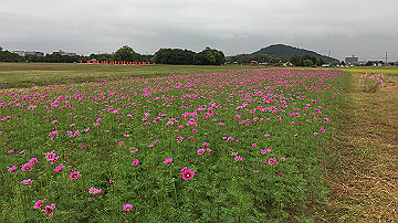 img_8760_thumb.jpg