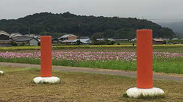 img_8763_thumb.jpg