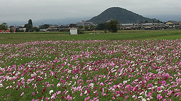 img_8764_thumb.jpg