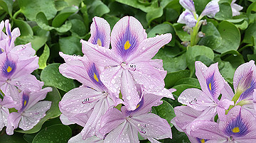 img_8768_thumb.jpg