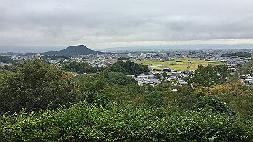 img_8771_thumb.jpg