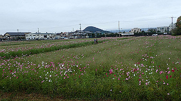 pa121688_thumb.jpg