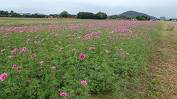 pa121702_thumb.jpg