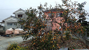 pa121729_thumb.jpg