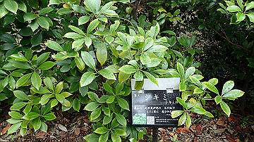 pa121745_thumb.jpg