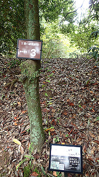 pa121746_thumb.jpg