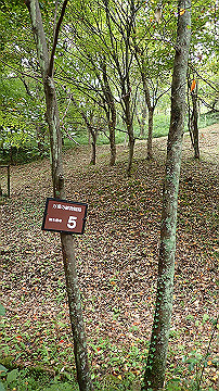 pa121748_thumb.jpg