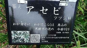 pa121756_thumb.jpg