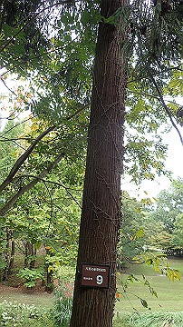 pa121757_thumb.jpg