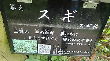 pa121758_thumb.jpg