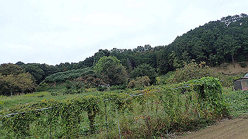 pa121785_thumb.jpg