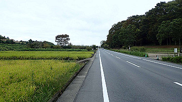 pa121786_thumb.jpg