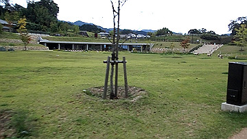 pa121795.mov_thumb.jpg