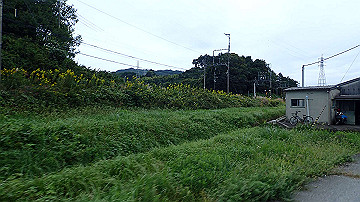 pa121847_thumb.jpg