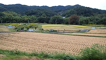 pa121866.mov_thumb.jpg