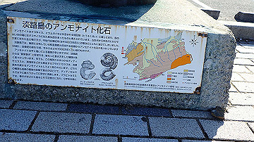 pb012225_thumb.jpg
