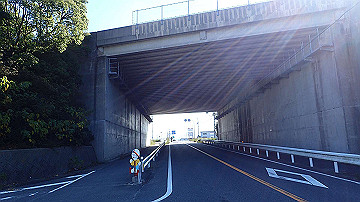 pb012231_thumb.jpg