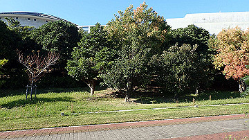 pb012308_thumb.jpg