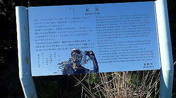 pb012327_thumb.jpg