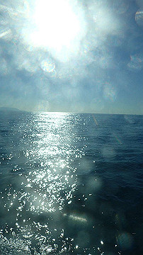 pb012346_thumb.jpg