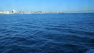 pb012347_x264.mp4_thumb.jpg
