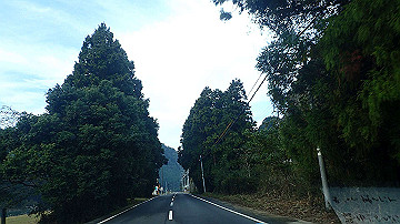 pb042431_thumb.jpg