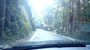 pb042465_thumb.jpg