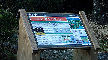 pb042489_thumb.jpg