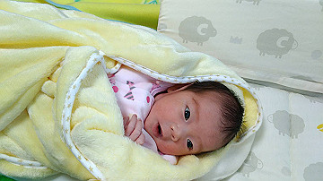 img_9365_thumb.jpg