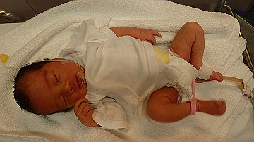 pb192726_thumb.jpg