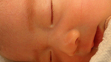pb192735_thumb.jpg