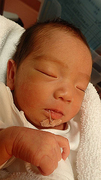 pb192753_thumb.jpg