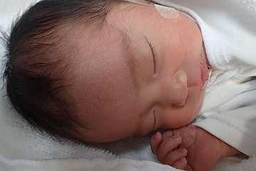 pb192755_thumb.jpg