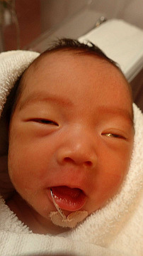 pb192763_thumb.jpg
