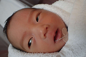 pb192771_thumb.jpg