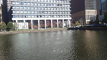 pb213076_thumb.jpg
