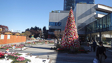 pb213087_thumb.jpg