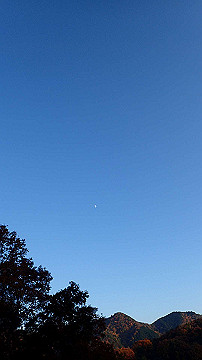 pb283302_thumb.jpg