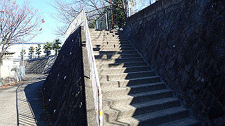 pc073341_thumb.jpg