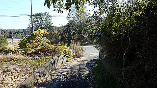 pc073350_thumb.jpg